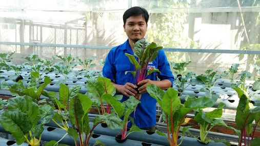 Anh Phạm Văn Minh bên thành phẩm của vườn rau thủy canh mình trồng