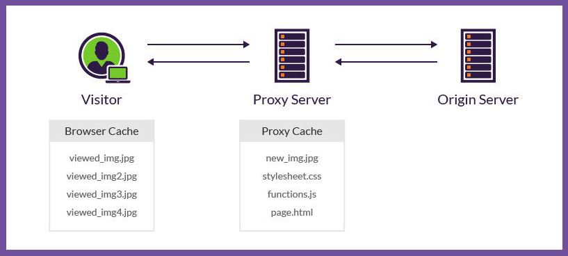 Sforum - Trang thông tin công nghệ mới nhất cache-1 Proxy là gì? Cách thiết lập Proxy an toàn trên PC, điện thoại 